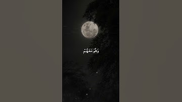 تلاوة خاشعة للقارى ياسر الدوسري ll يستخفون من الناس ولا يستخفون من الله
