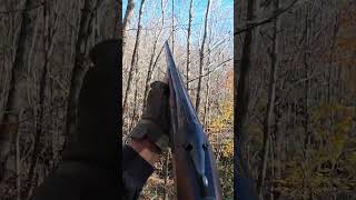 Zorla Uçtu, Çulluk Avi Wood Hunting I