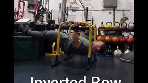 Inverted Row- Parallettes
