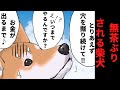 【世界の終わりに柴犬と】名言切り抜き#18 無茶ぶりされまくる柴犬