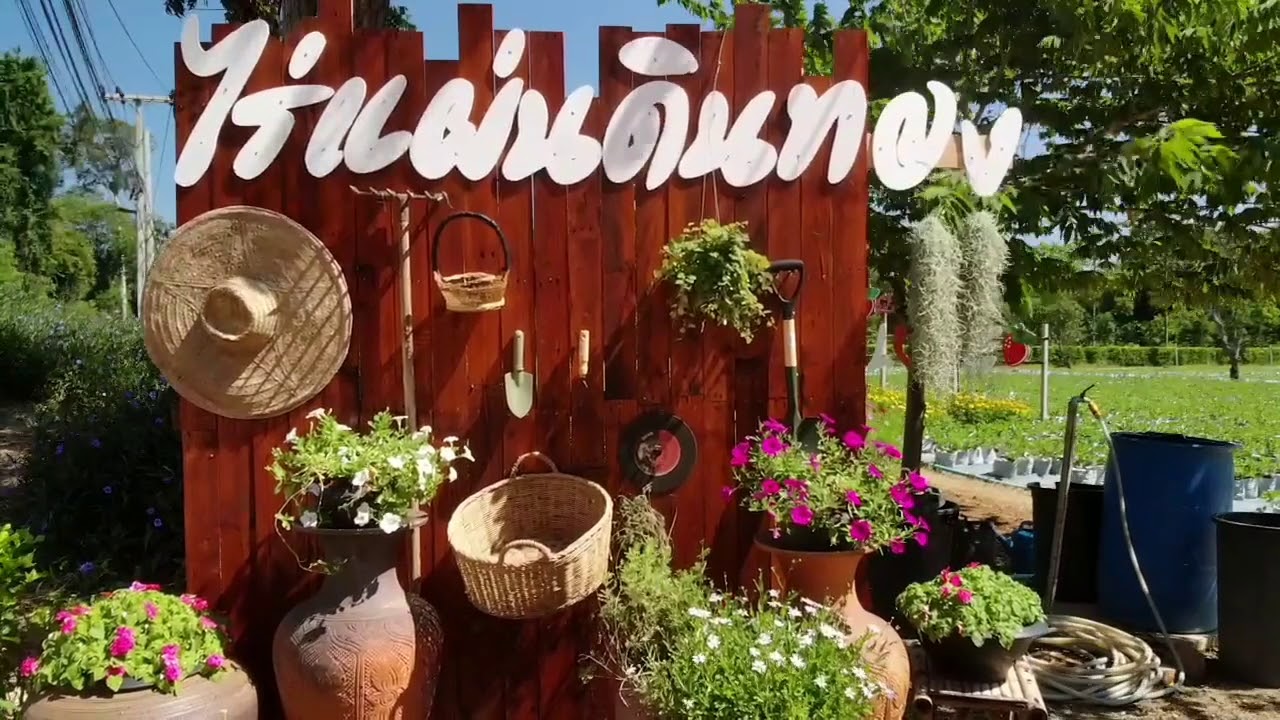 Cool wind at Khaoyai strawberry farm YouTube