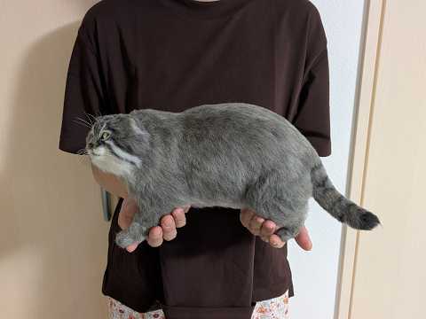 hqdefault.jpg