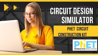 Circuit Constructor Simulation Net Worth
