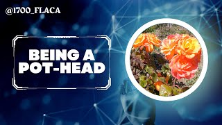 BEING A POT HEAD | @1700_FLACA