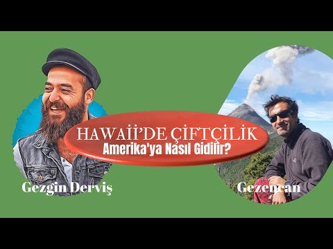 Video: Hawaii'de Bir Hafta: En İyi Yol Programı