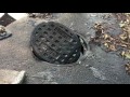Fort Lauderdale sewage system overflowed into streets