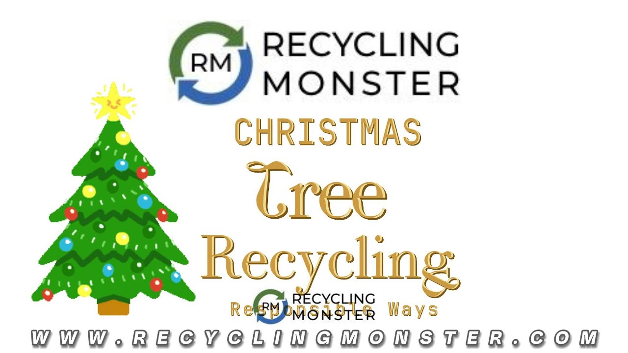 Responsible Christmas Tree Recycling 🌲 | Benefits, Tips & How-To Guide!
