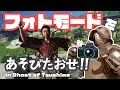 『フォトモード』があるなら遊ばなきゃ嘘【Ghost of Tsushima】