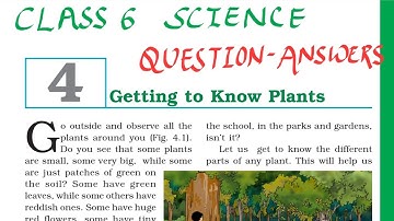 Class6 Science Chapter 4 Getting to Know Plants NCERT Solutions (Ques-Ans)