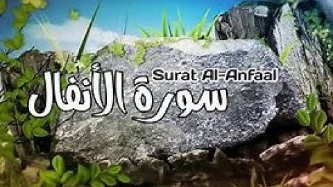 سورة الأنفال كاملة (ختم القرآن الكريم في رمضان الكريم)