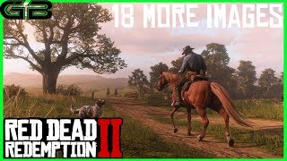Red Dead Redemption 2 - 18 More Images