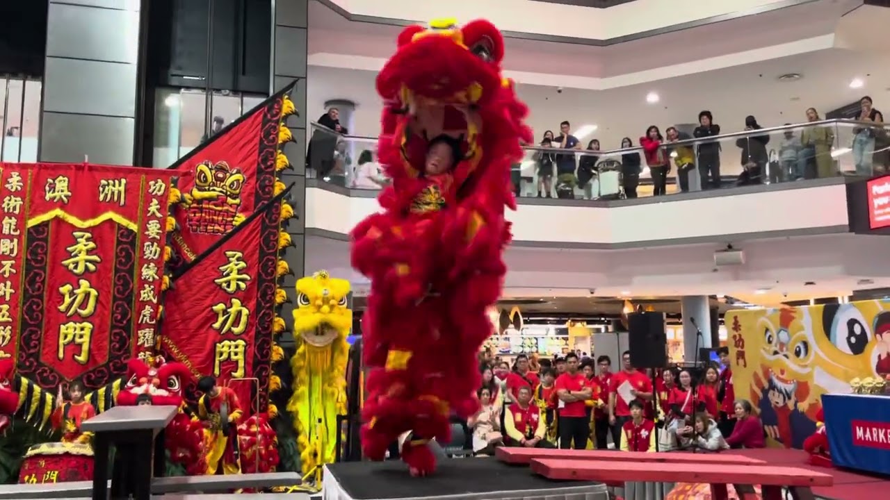 End of Kids Lion Dance Competition Performance 2025 @liondancekids