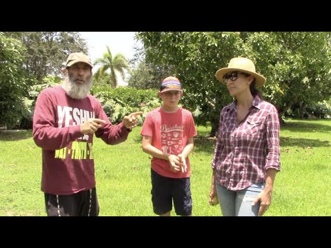 Exotic Tropical Fruit Farm Tour