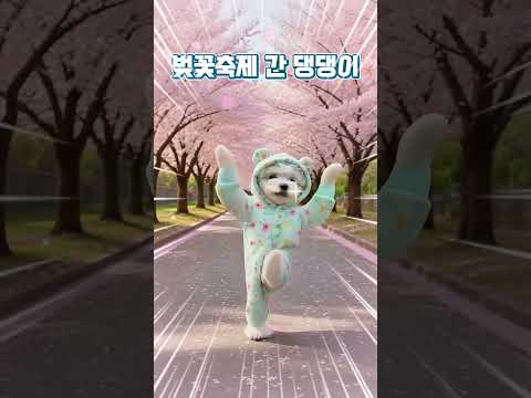 벚꽃축제 먼저 갔다 온 댕댕이🌸🐶