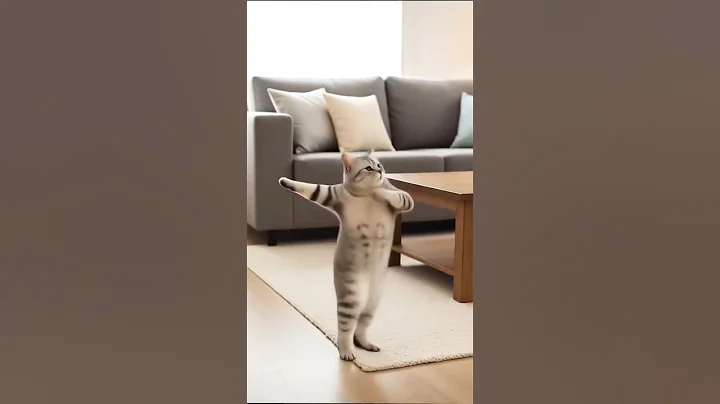 Video 11531231: cat funny dance, clean funny cat, laugh funny cat