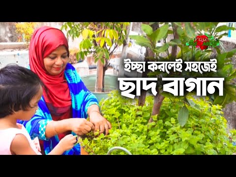 ভিডিও: গার্ডেন সিটির ছাদ