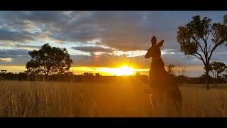 Australiaa