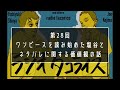 ラジオタコライス第28回【ワンピースを読み始めた塩谷とネタバレに関する価値観の話】