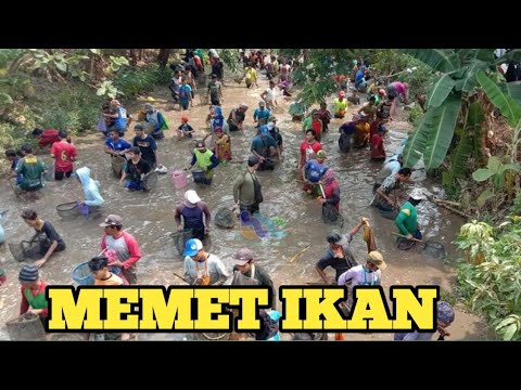 KESERUAN MEMET IKAN