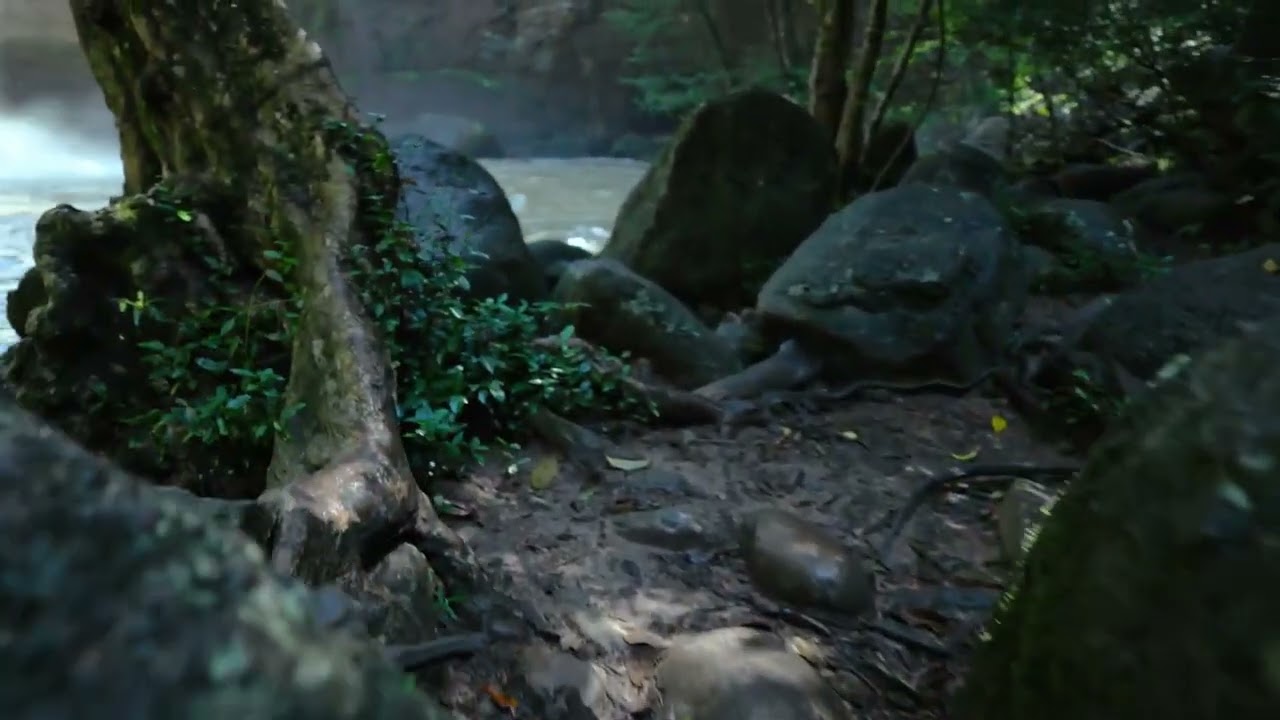 CANON RF 20mm F1.4L VCM   Ultra wide Angle Hybrid