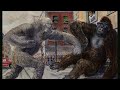 End of video