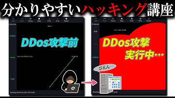 DDoS攻撃を試してみる【ハッキング初心者向け講座】#kalilinux