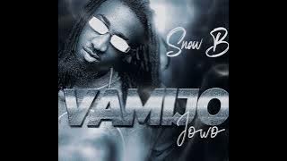 Download lagu Snow B - VAMIJO (Jowo)