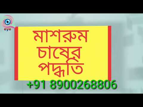 ভিডিও: কীভাবে স্ক্র্যাচ থেকে কম্বুচা বাড়াবেন?