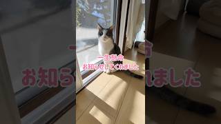 緊急事態?Emergency?