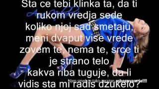 Ana Nikolic- Dzukelo Tekst