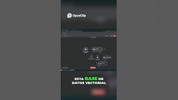 Base de Datos Vectorial  Integración y Uso Práctico