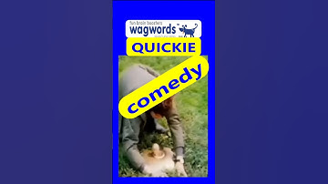 Solve game 153c #comedy wagwords #puzzle featuring some absurdist humor.