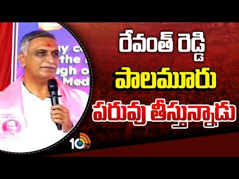 రేవంత్ రెడ్డి పాలమూరు పరువు తీస్తున్నాడు | Harish Rao | Revanth Reddy | - 10TVNEWSTELUGU