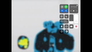 Jsab Milky Way Blue Garnet Vore Jsab Yellow Garnet Sister Vore Brother