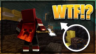 The RAREST thing to find during a Minecraft Speedrun | Twitch Highlights