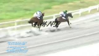 ANIMO LA SALLE / MONROVIAN BELLE / GO USTE / AMERICAN FORD NOVATO RACE 2024. #fypシ #viral #trending ANIMO LA SALLE / MONROVIAN BELLE / GO USTE / AMERICAN FORD NOVATO RACE 2024. #fypシ #viral #trending