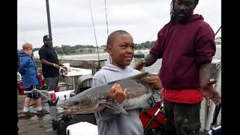 Cobia Fishing Virginia: episode 3 young boy catche...
