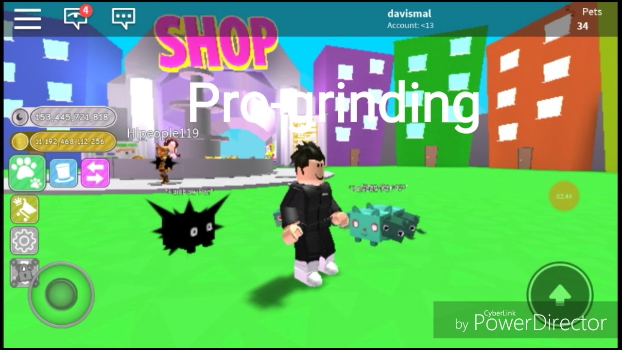 Noob Vs Pro Vs Hacker Pet sim (Roblox)
