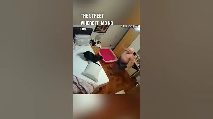 After his wife passed away, his children adopted him a dog to keep him company 👏❤️