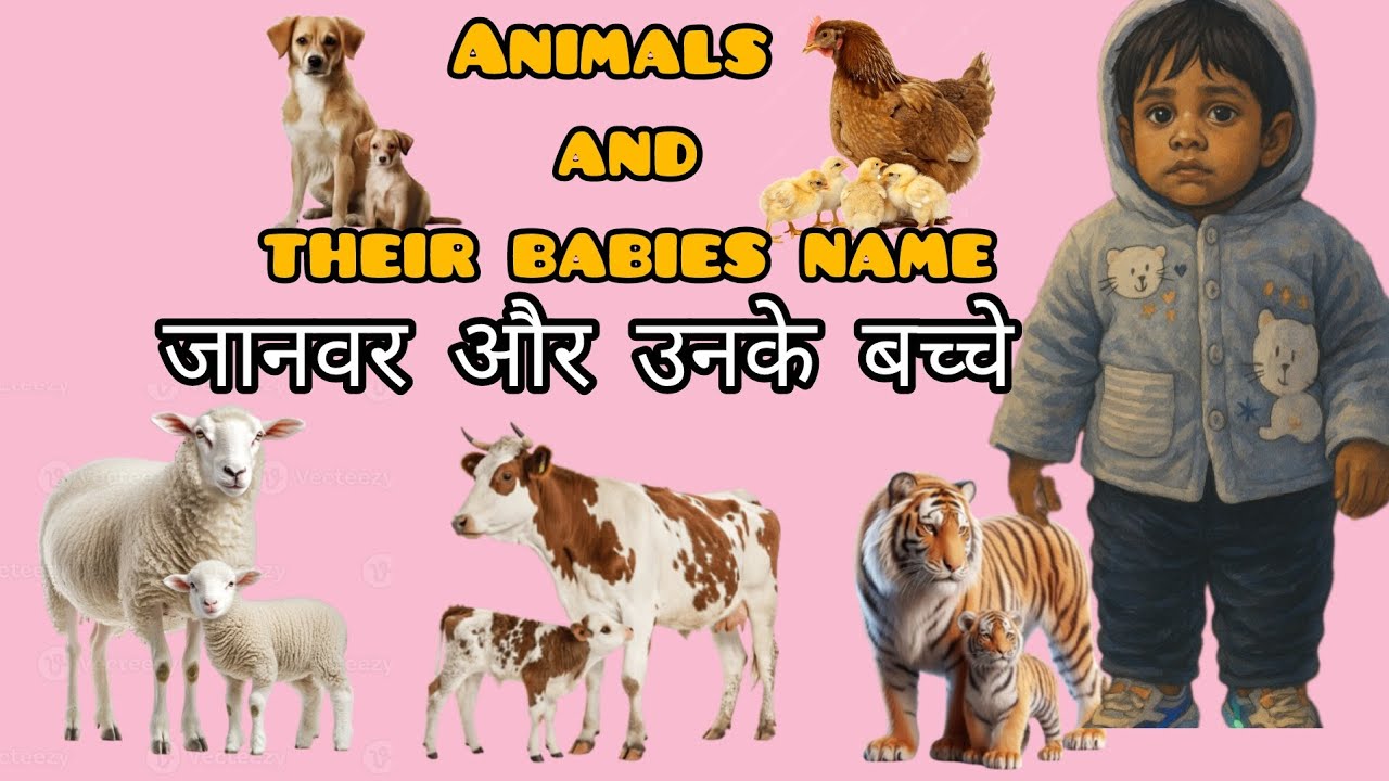 Animals and their babies name |Vedanth Ki Paathshaala| #animals #animalsname #kids #forbaby #viral 
