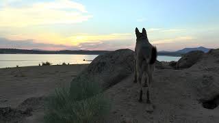 Panasonic Ag Ac90 Video Test 2023