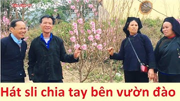 Hát sli giao duyên bên vườn đào hội xuân; hat sli lang son