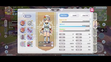 [ROX GLOBAL] F2P Monk Heavy knuckles equips and stats | Budget friendly build