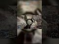 Quick Scope