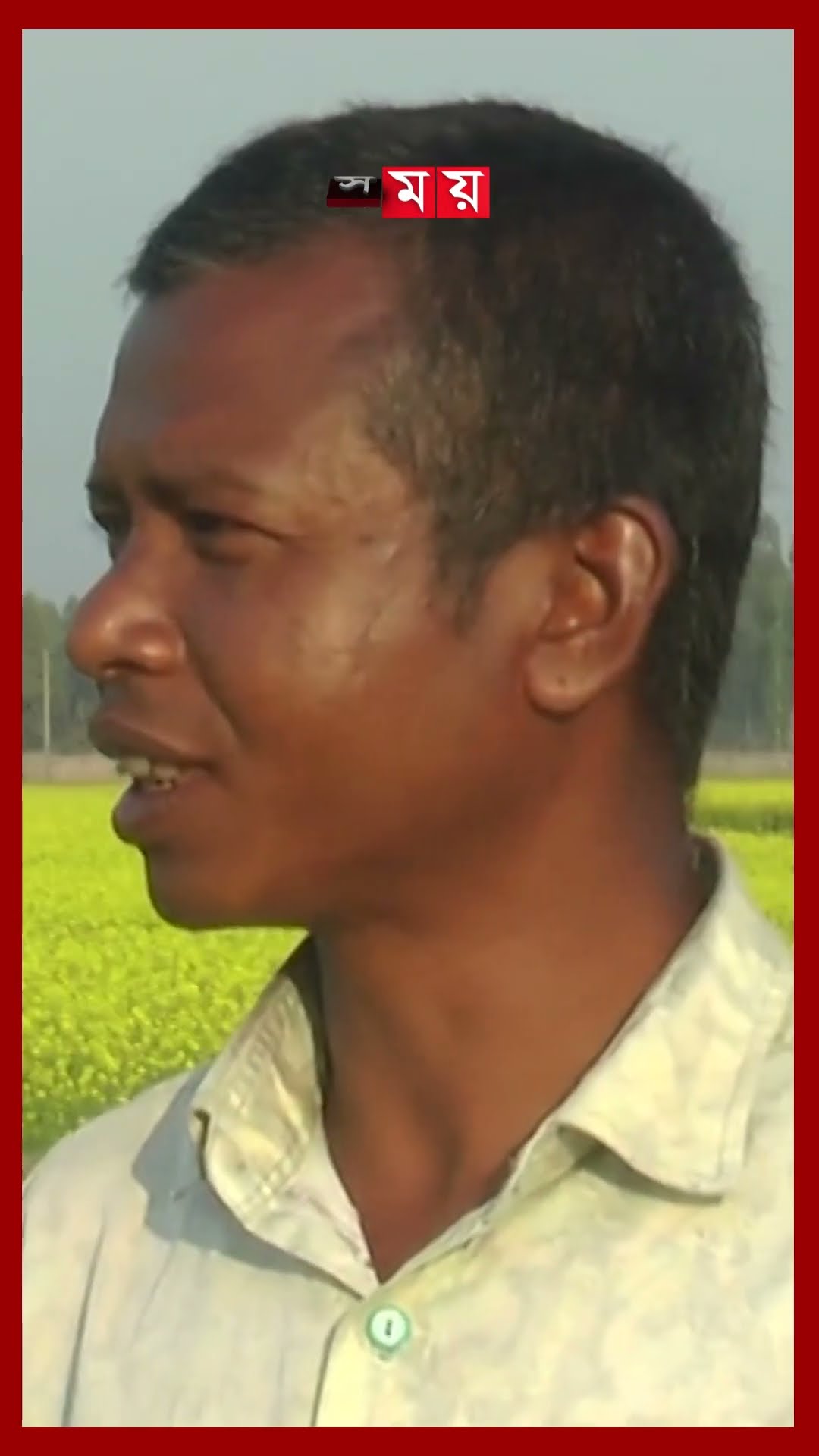 কুড়িগ্রামে বাড়ছে সরিষার আবাদ #Mustardcultivation #kurigram #technology #shorts #somoytv