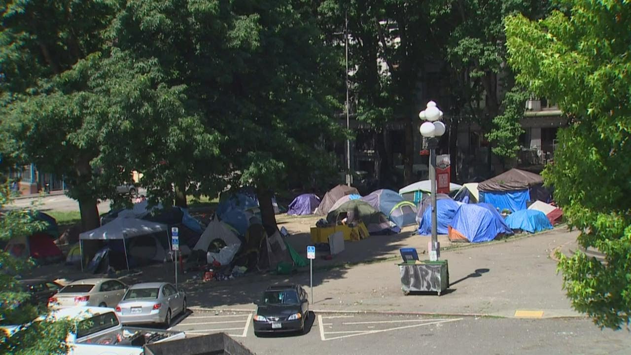 King County councilmember pushes to condemn Seattle park with large homeless population