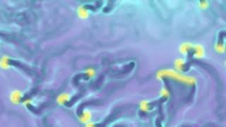 Reaction-diffusion Ready VTI Imported into Houdini