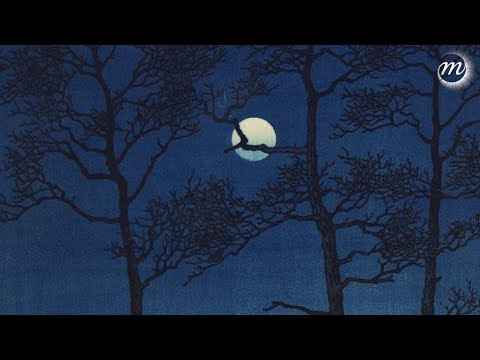 Vidéo: L'exposition D'art Du Musée De La Lune Arrive En Europe Cet Automne