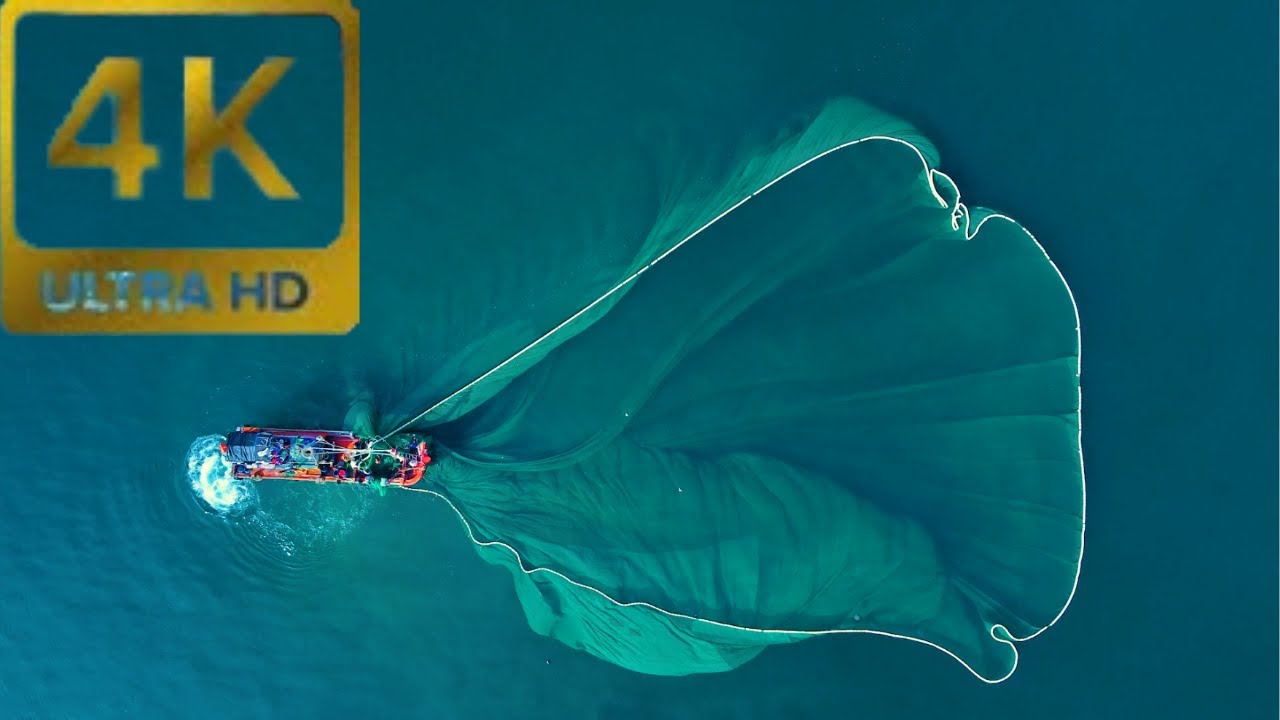 Relax Your Mind: Peaceful Images and Mystical Tones