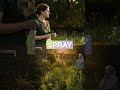 That weed in your backyard, it might be your next meal. #plants #garden #paganlife #agingconcerns